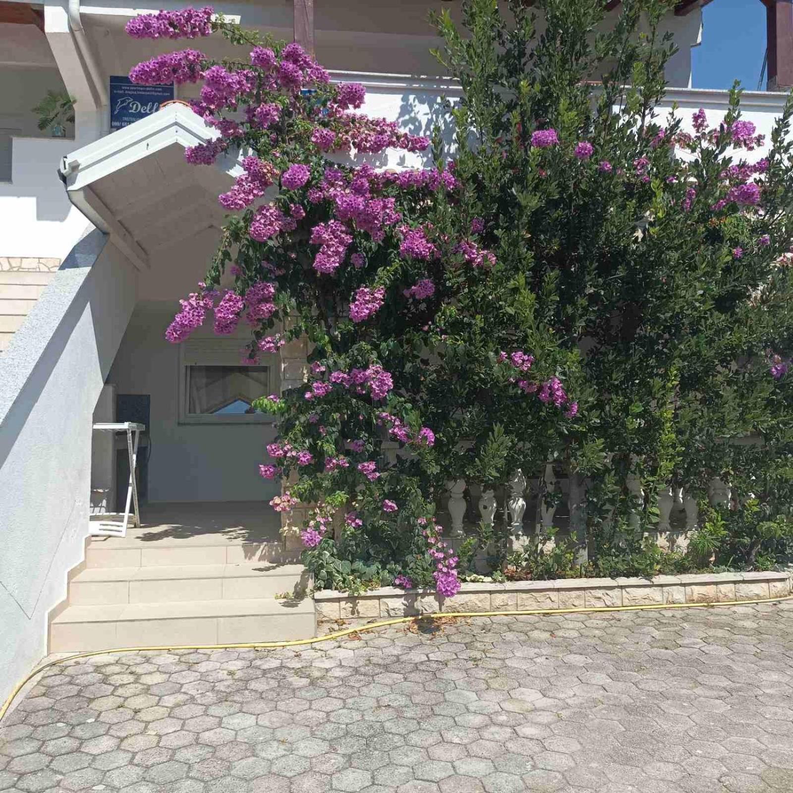 Apartments Vir Delfin Esterno foto